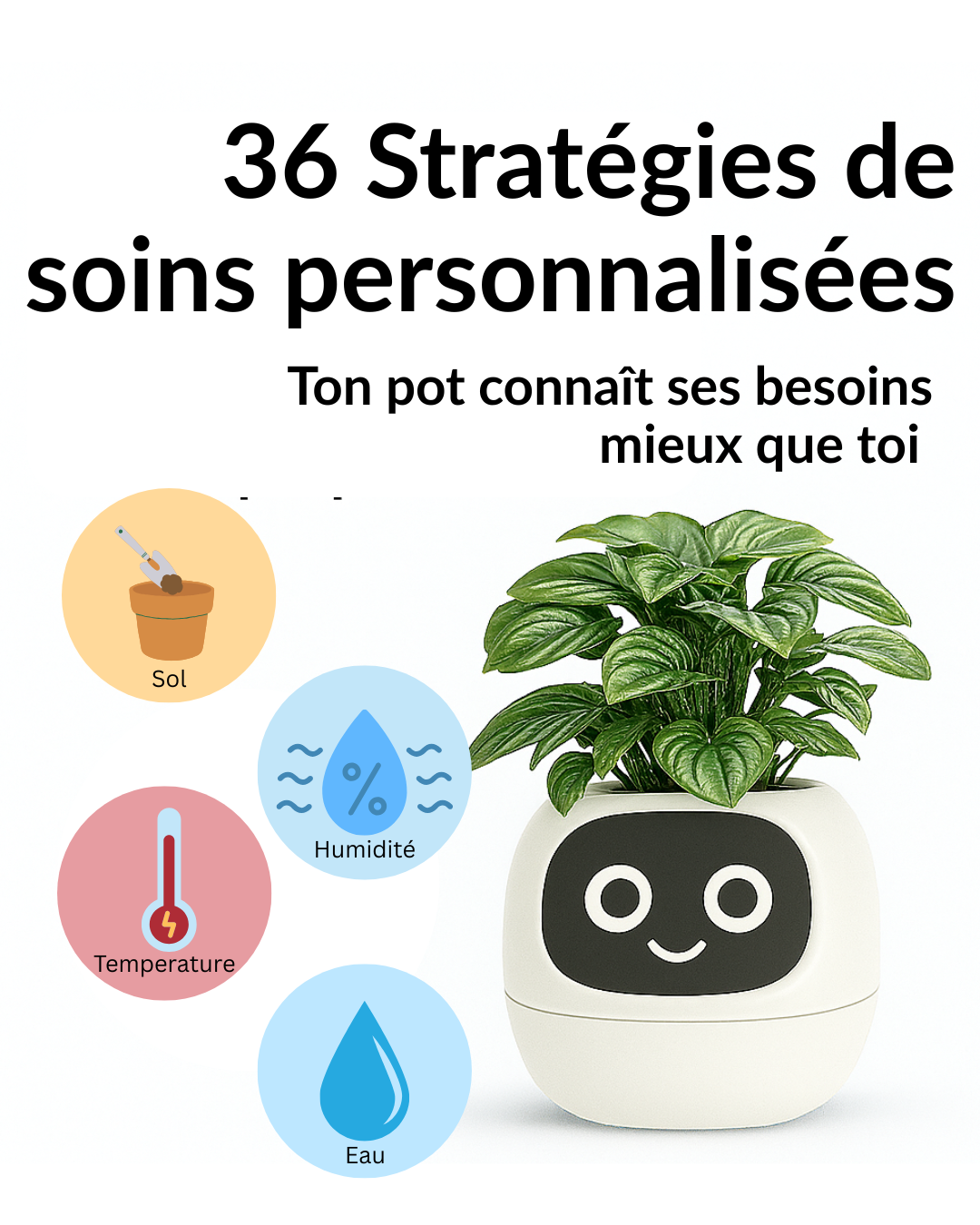 Plant-E Rose – Douceur, fun et connexion vivante