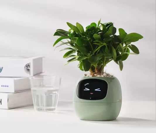 Plant-E Vert – Le lien naturel entre tech et nature