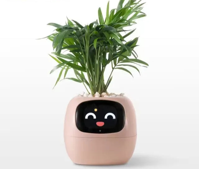 Plant-E Rose – Douceur, fun et connexion vivante