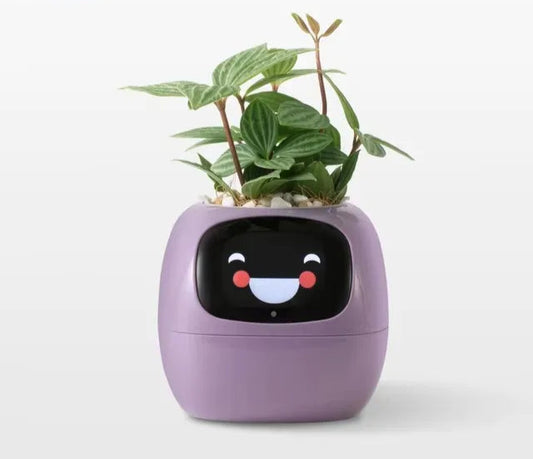 Plant-E Violet – Élégance futuriste et émotion connectée