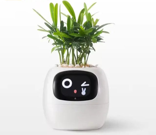 Plant-E Blanc – Pureté & intelligence végétale